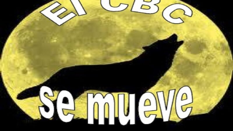 Nos despedimos hasta el nuevo curso… ¡Feliz Verano!