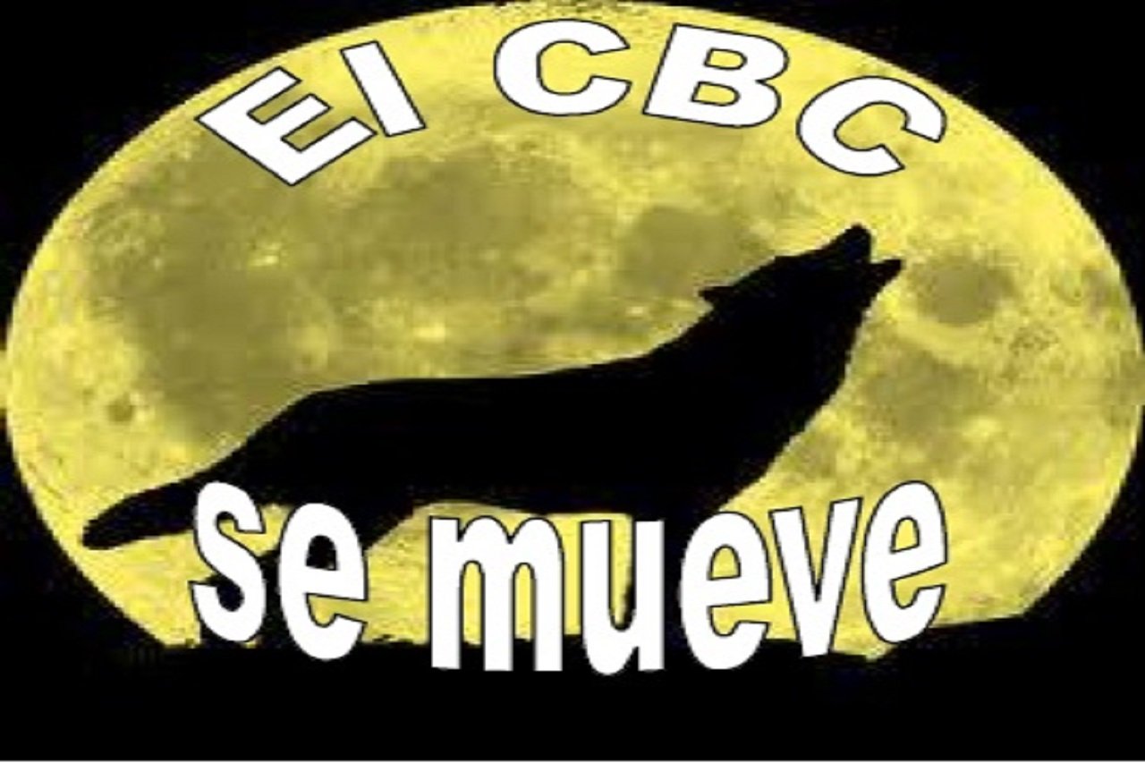 Nos despedimos hasta el nuevo curso… ¡Feliz Verano!