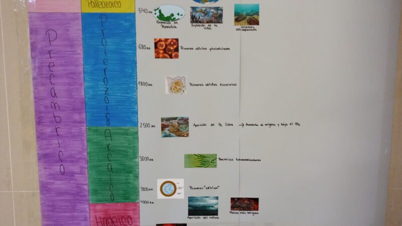 La evolución de la Tierra