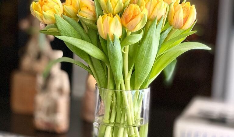 Un Ramo de Tulipanes