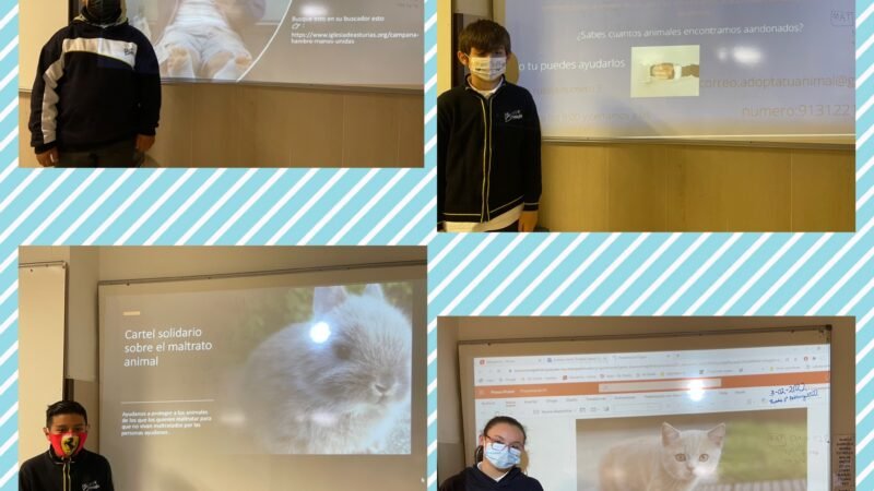 Carteles solidarios 5º Primaria