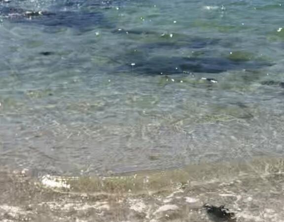 El mar