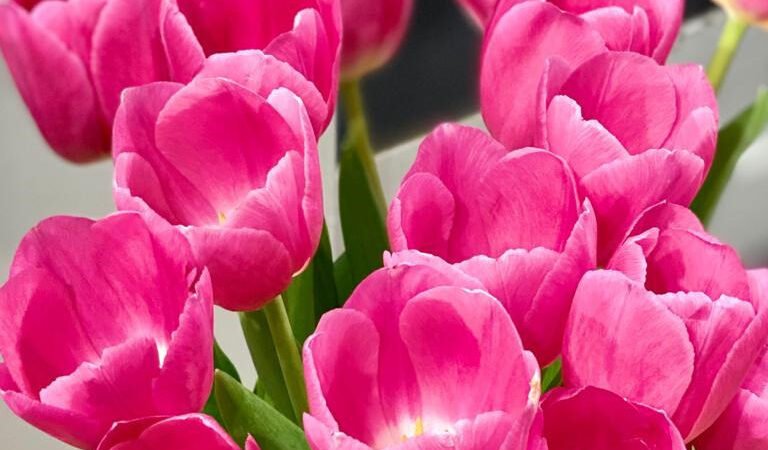 Mamá!!!, su inigualable esencia