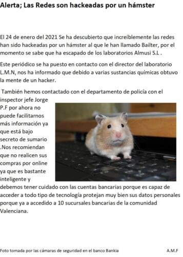 Hamster hackea redes