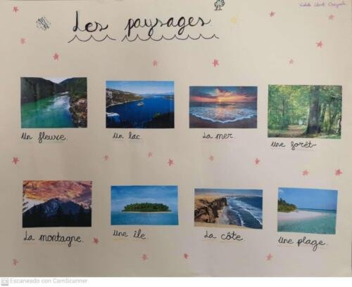 9da5e647-a91b-40b4-ba98-f2a3c34ae4a4