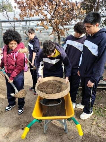 f53716e7-2f67-4e48-a73d-3393a5ddeb08